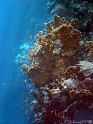 DSC09106 - 050329 - Gota Kebir - Ambiance